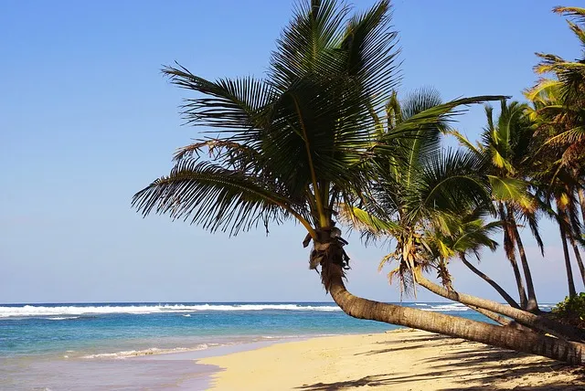 https://online.b2bviajes.com/viajes/assets/upload/d2298.webp